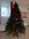 IMG_20211202_074847