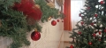 IMG_20251204_102833