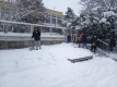 IMG_20260107_101533